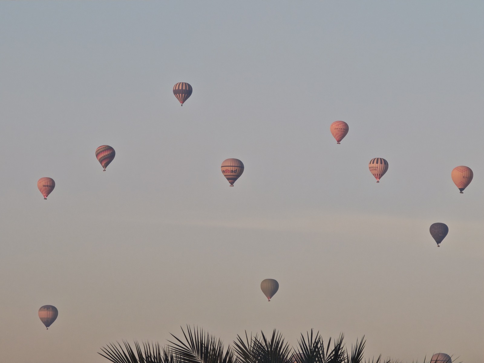 Hot Air Balloon